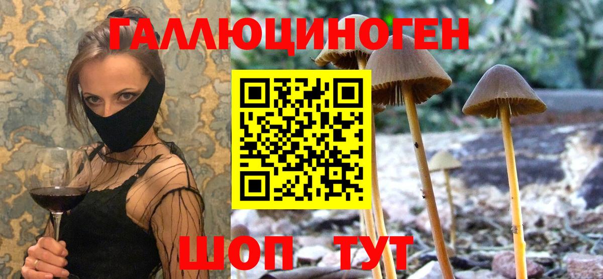 сколько стоит  Галлюциногенные грибы GOLDEN TEACHER  Семёнов  Вход с VPN  Псилоцибиновые грибы MAGIC MUSHROOMS 
